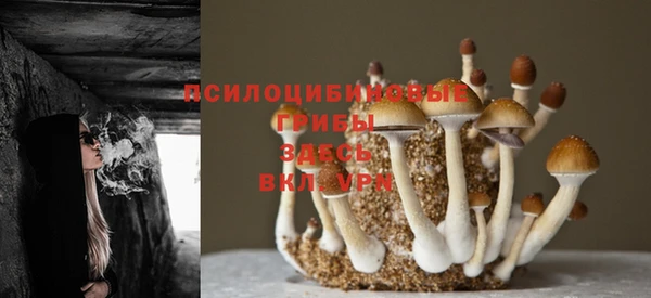соль курить ск Абаза