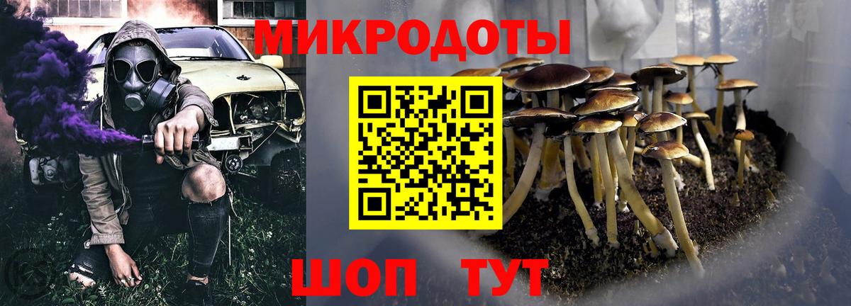 Псилоцибиновые грибы Psilocybe Красноуфимск